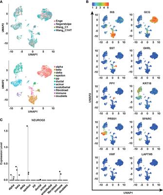 Gene Signatures of NEUROGENIN3+ Endocrine Progenitor Cells in the Human Pancreas